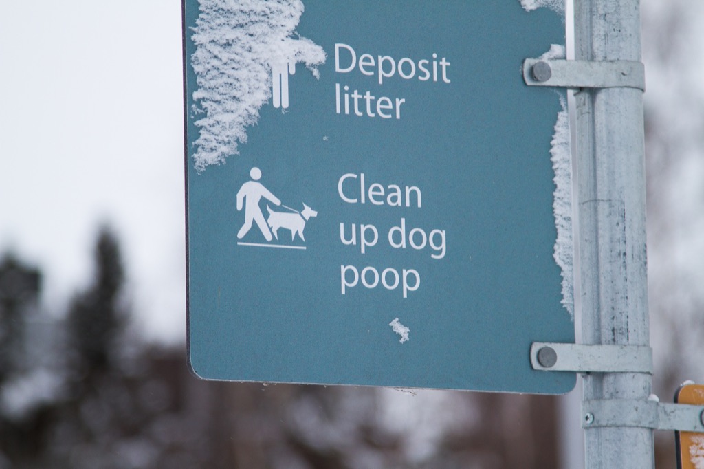 Most cities tend to shy away from the use of the word poop.