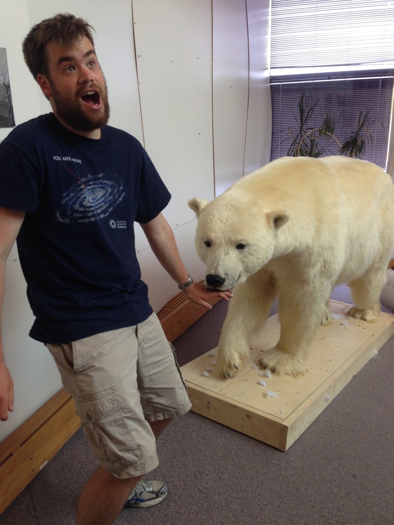 Ahh! He got attacked by the polar bear!
